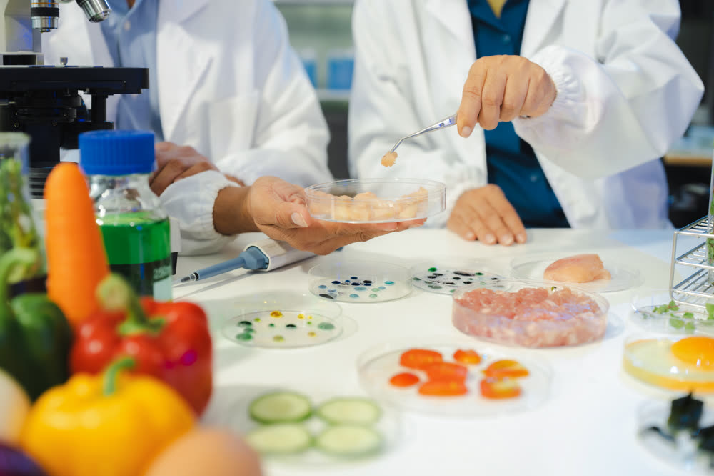 Equipo de laboratorio analizando muestras de alimentos