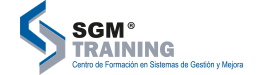 SGM Training